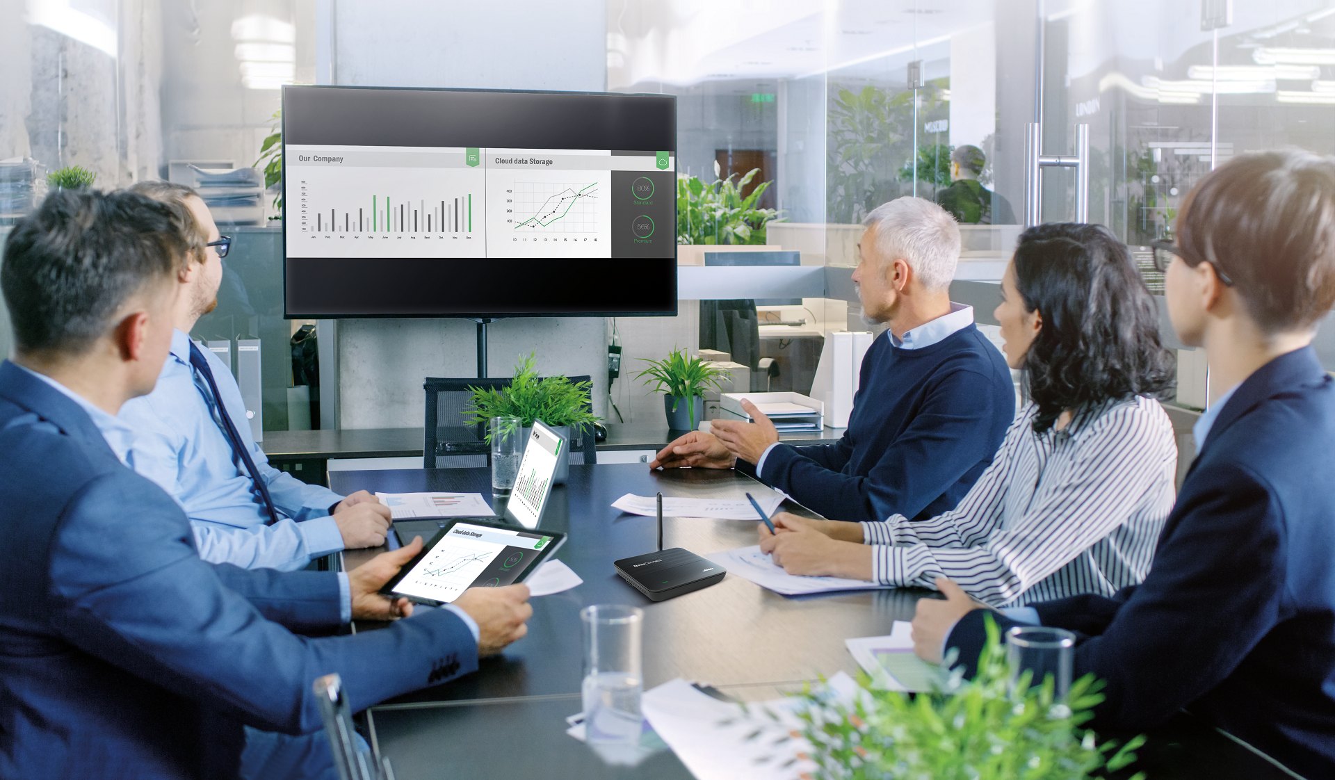 Business meeting using a Vivitek display